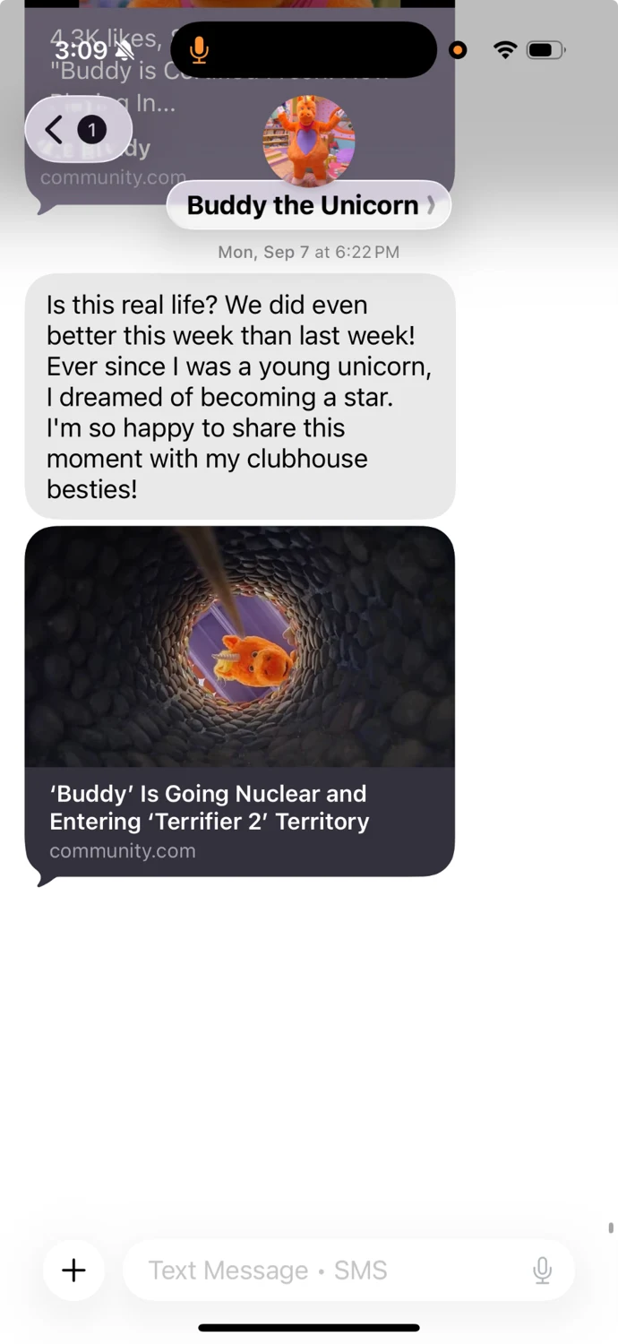 Buddy the Unicorn text conversation with a fan
